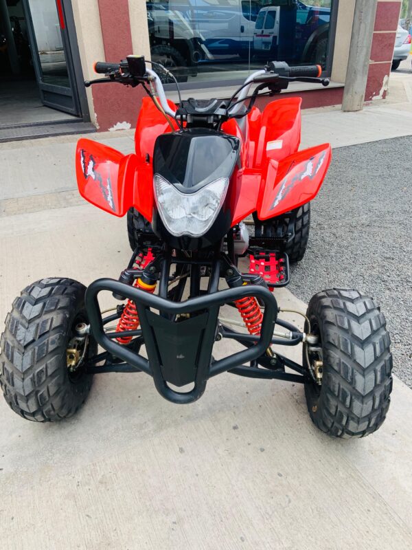 MONDIAL FD 200S