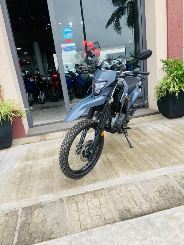 HONDA XR TORNADO 300CC (AÑO 2025 USADA) - Imagen 2