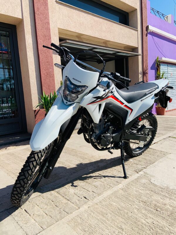 HONDA XR TORNADO 300CC (AÑO 2024 USADA)