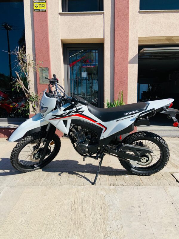 HONDA XR TORNADO 300CC (AÑO 2024 USADA) - Imagen 3